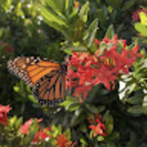 Meet your Posher, Rilda